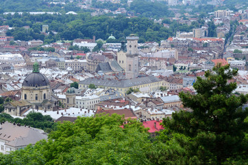 Naklejka premium Panorama of Lvov old town with Dominicn church