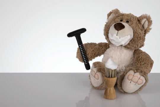 Teddy bei rasieren