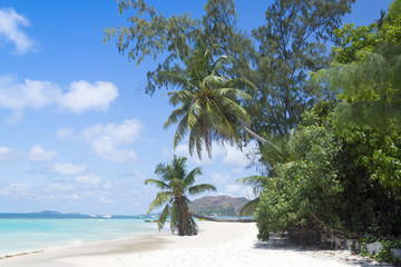 White coral beach sand and azure ocean. Seychelles islands.