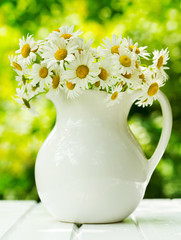 daisy flowers