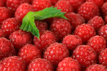 Ripe sweet raspberries, close up