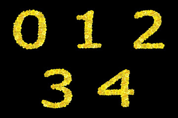 alphabet, script, ABC