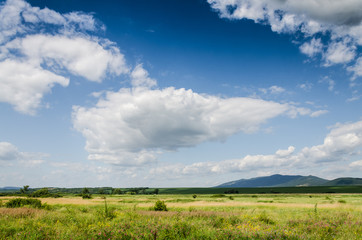 Obraz premium green field background