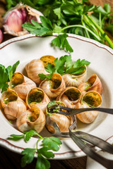 Snails baked in garlic butter served on a plate