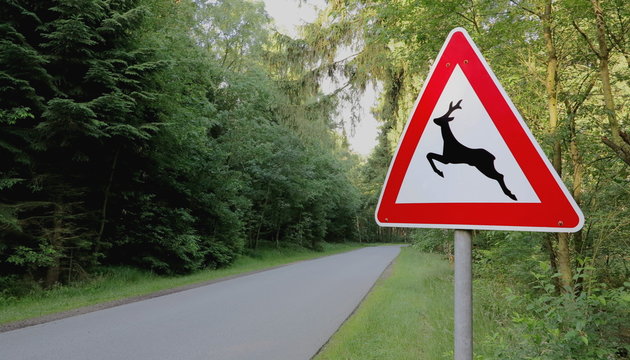 Verkehrszeichen - Wildwechsel