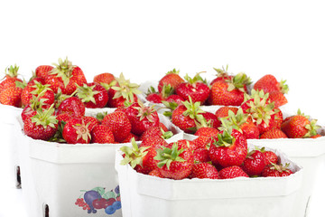 Erdbeeren in Pappschachteln