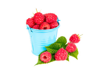 Fresh raspberries in a bucket