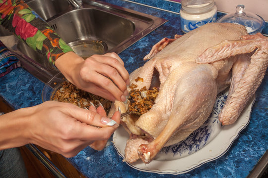 Stuffing Chicken