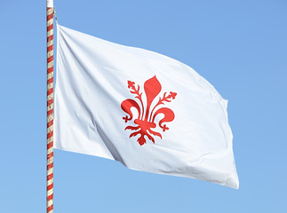 Bandiera con giglio