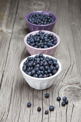 Fototapeta na wymiar Fresh and tasty blueberries