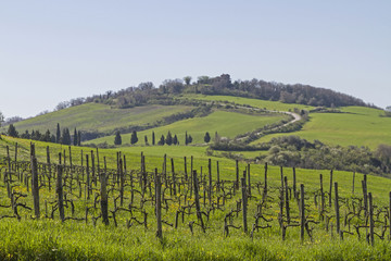 Fototapeta premium In der Crete