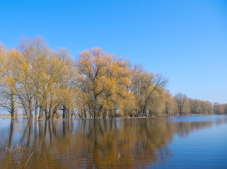 Spring high water on the river