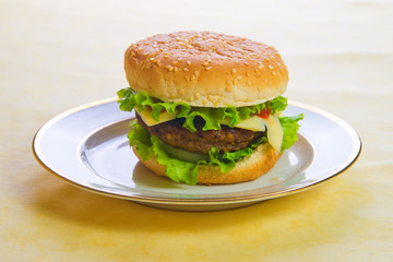 Hamburger on a plate