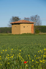 caseta de barro en el campo en primavera