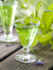 Herbal liquor in glass, selective focus