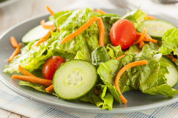 Fresh Organic Green Salad