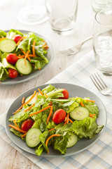 Fresh Organic Green Salad