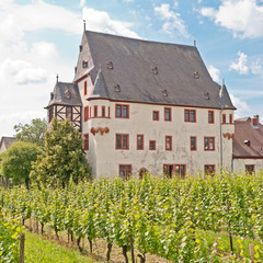 Fototapeta na wymiar Schloss Schönborn w Geisenheim am Rhein