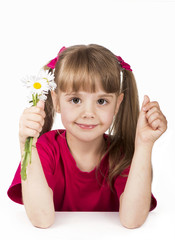 little girl with a camomile on a white background