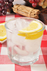 Sparkling Water with Lemon