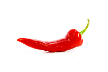 Red hot chili peppers on white background.