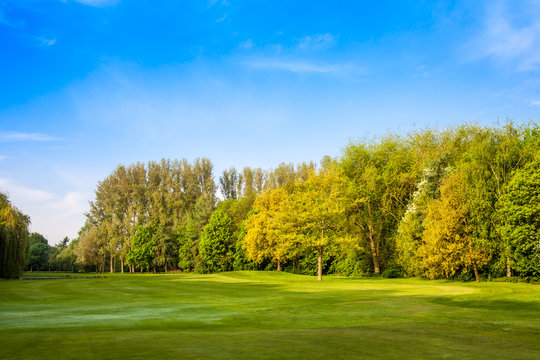 green field and trees.  Summer landscape with green gras