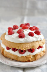 Himbeer Sahne Torte
