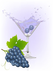 grape splash