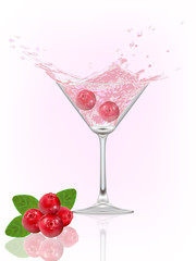 cranberry splash