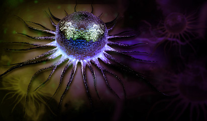 stem cell