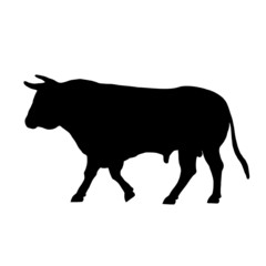 walking a black bull