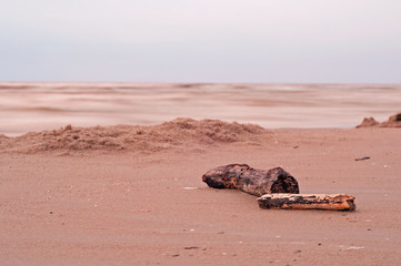 Log on seashore, loneliness scene