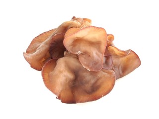 Black fungus, Jelly ear mushroom