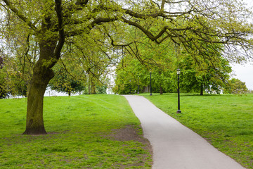 Sentiero tra gli alberi, Hyde Park, Londra