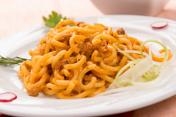 Gramigna con la salsiccia, fuoco selettivo, close-up