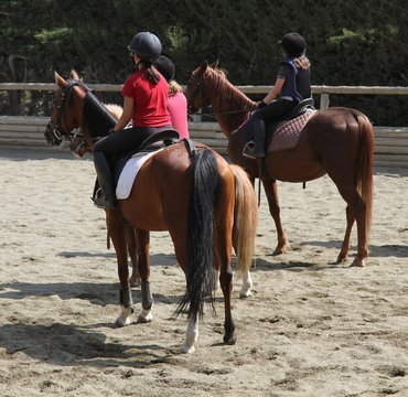 Children's competitions in equestrian
