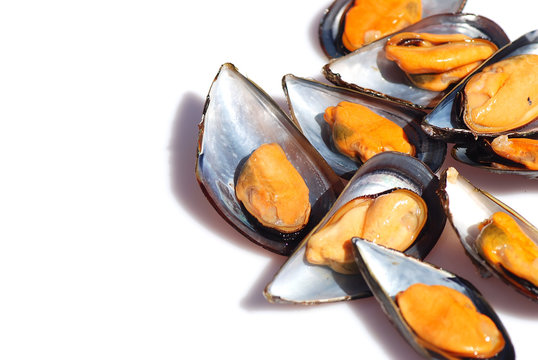 MARISCOS. MEJILLONES