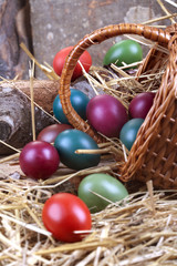 Traditional colored eggs with basket