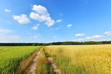 Rural landscape