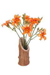 Orange lily in wooden vase isolated on white background