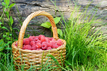 Raspberries in the basket