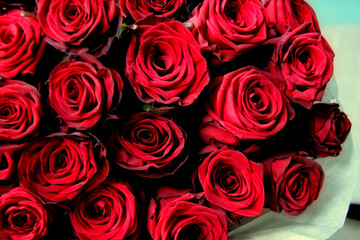 bouquet of red roses