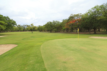 Fototapeta premium pole golfowe