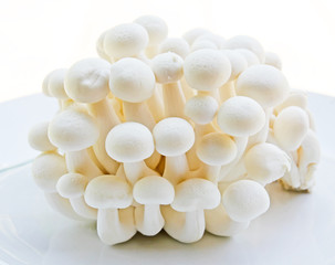 White Shimeji mushrooms