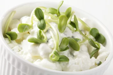 Cercles muraux Produits laitiers Cottage cheese with herbs and fresh sunflower sprouts.
