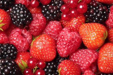 Close-up of berry fruits