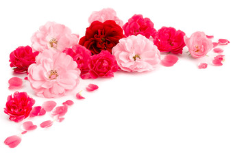 Rosenblüten und Rosenblätter