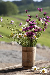 Bouquet of wild natural flowers