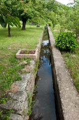 irrigation jardin