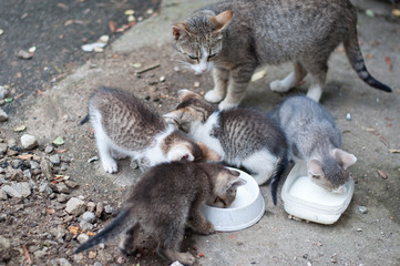 Mother watches as her childs drinks milk